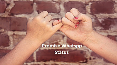 Promise Whatsapp Status