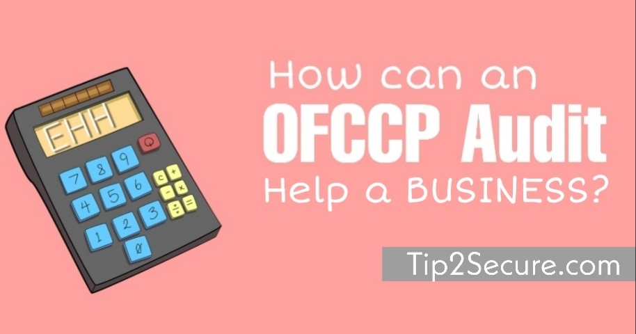 ofccp audit business