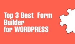 top 3 best form builder for wordpress