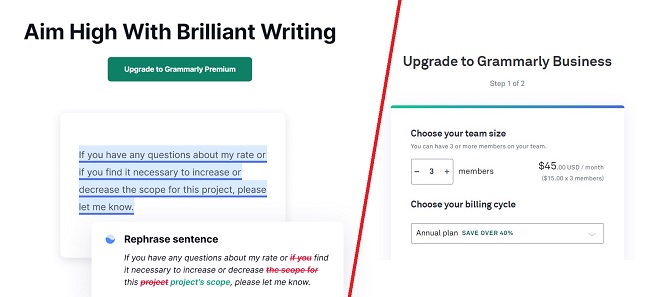 grammarly business vs premium